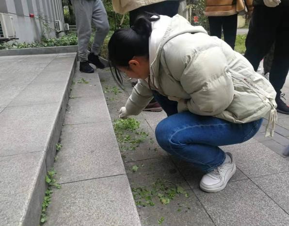 3.jpg 555体育客户端